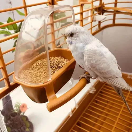 Spielen und essen Vogelkäfig Dekor fix auf Käfig klare Vögel Bewässerung Schüssel Vogel häuschen