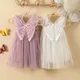 1-5 Jahre Kleinkind Baby Mädchen Kleid Schmetterling Flügel Spitze A-Linie Prinzessin Kleid Säugling