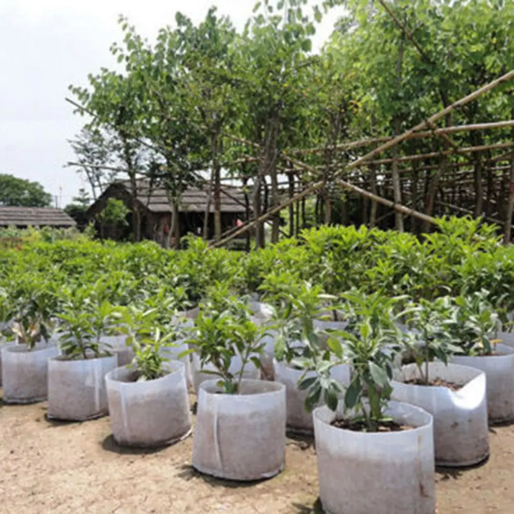 Runde Stofftöpfe, Pflanzbeutel, Pflanzbeutel, Wurzelbehälter, Anbaustopf, Pflanzbeutel, Jardineria Serve Perspektive Image