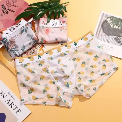 1 stücke sexy Mesh Boxer Männer Unterwäsche sehen durch transparente Shorts männlichen Druck Höschen Image