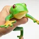 Dehnbare Frösche extrudi erbare Squishy Frosch Party begünstigt Simulation Frosch langsam steigende