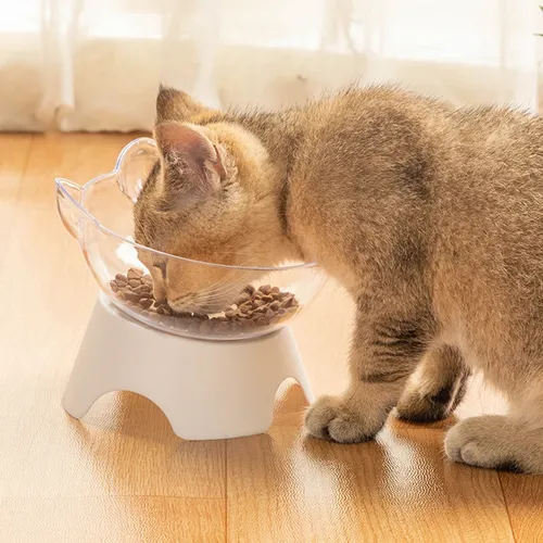Tiernahrung und Wasserschalen rutsch feste Katzen schüssel Fütterung produkte für Katzen Hundefutter
