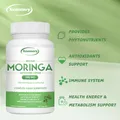 Bio-Moringa-Kapseln-unterstützt Immunsystem Energie produktion und Stoffwechsel Nahrungs