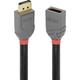 LINDY DisplayPort Cable extension DisplayPort plug, DisplayPort socket 2.00 m Anthracite, Black, Red 36497 gold plated connectors DisplayPort cable