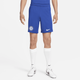 Chelsea F.C. 2022/23 Stadium Home/Away Men's Nike Dri-FIT Football Shorts - Blue - Polyester