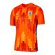 Nike Football Football Jersey 2021 Shandong Taishan Home Fan Edition 'Orange'