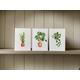 Houseplant Note Cards Set Of 6 With Envelopes, Blank Greetings Cards, New Home Cards, Thank You Cards