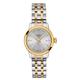 Tissot Classic Dream Stainless Steel and Yellow Gold Quartz Ladies Watch