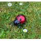 Ladybug Wall Art/Ornament Birthday Gifts Garden Decor Bugs Lawn Patio Fence Gardening Gardener Present