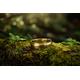 14K Solid Gold Dome Shaped Wedding Band Sideways Matte & Round Edges in Yellow Rose White Gold, High Polish Finish, Elegant Symbol Of Love