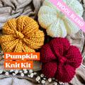 Wool Blend Pumpkin Knitting Kit, Pumpkins, Knit Your Own Pumpkins, Beginner Friendly Autumn Kit, Knitted Pumpkin Craft Kit