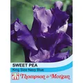 Thompson & Morgan Sweet Pea King Size Navy Blue 1 Seed Packet (20 Seeds)