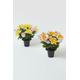 Set of 2 Daisy & Daffodil Artificial Flowers in Grave Pot