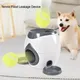 Pet Interactive Toy Tennis Ball Launcher 2 in 1 Automatic Throwing Device Training Reward Machine