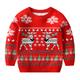 Kids Boys Sweater Animal Long Sleeve Crewneck School Adorable 2302 red Fall Clothes 3-7 Years