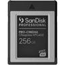 "SANDISK Speicherkarte ""PRO-CINEMA CFexpress VPG400 Typ B 256GB"" Speicherkarten Gr. 256 GB, schwarz (schwarz, grau) Speicherkarten"