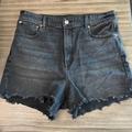 American Eagle Outfitters Shorts | American Eagle Outfitters Black Cut Off Shorts 10 | Color: Black | Size: 10