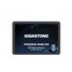 Gigastone Enterprise 4TB NAS SSD 24/7 High Endurance Business Server Homelab Network Attached Storage Cache RAID 2.5" SATA III Internal Solid State Drive 3D NAND SLC Cache Memory Expansion