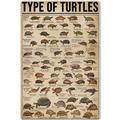 1000 Piece Adult Jigsaw Puzzle - Painted Knowledge Wooden Rounded Corner Color Type of Turtles Jigsaw Puzzle for Beginners, Great Gift for Framing, Multi-Color Jigsaw Puzzle