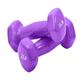 Dumbells Glossy Plastic Dipped Dumbbells For Men And Women Fitness Training Equipment Home Arm Lifting Arm Strength Dumbell Set (Color : Purple, Size : 8kg)