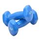 Dumbells Glossy Plastic Dipped Dumbbells For Men And Women Fitness Training Equipment Home Arm Lifting Arm Strength Dumbell Set (Color : Blue, Size : 9kg)