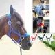 Soft Padded Pony Horse Halter Bridle Headstall Head Collar Horse Riding Stable Horse Bridle
