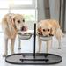 ToccoLeggero Dog Food Mat - Waterproof Dog Bowl Mat, Silicone Dog Mat For Food & Water, Pet Food Mat w/ Edges, Nonslip Dog Feeding Mat | Wayfair