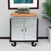 UltraHD® Seville Classics UltraHD 2-Door Rolling Cabinet, Graphite Steel in Gray | 34.5 H x 28 W x 18 D in | Wayfair UHD20145B