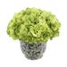 Primrue Hydrangeas Floral Arrangement in Vase Polysilk, Ceramic in Blue/White | 10 H x 11 W x 11 D in | Wayfair 655A35DDD164443AA258B19263DCFB2D