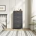 Rebrilliant Nathanyal Dresser in Gray | 37.2 H x 17.72 W x 11.81 D in | Wayfair FF1F5B9FC5264AF2A44DFE947E39FD32