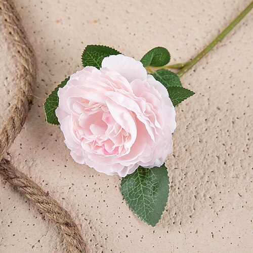 5 Stück Western Rose Kern Pfingstrose Einzelkopf Simulation Blume Wohnkultur Hochzeit Tragbare Blume Künstliche Blume Weihnachtsgeschenk Image