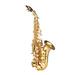 Saxophone Gold Lacquer Brass Sax Professional Instrument Set for Musicians and Beginners Includes Mouthpiece and Neck Strap