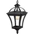 YINCHEN 21-Inch Farmhouse Outdoor Pendant Light for Porch Modern Industrial Large Exterior Hanging Lantern Die-Cast Aluminum with Seeded Glass Black Finish ZX55H BK