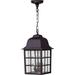 Z571-TB Grid Cage Outdoor Ceiling Pendant Lighting 3-Light 180 Watts Textured Matte Black (9 W x 16 H)