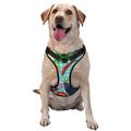 Coaee Vegetable Dog Harness&Pet Leash Harness Adjustable Dog Vest Harness For Training Hunting Walking Outdoor Walking- Medium