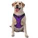 Coaee Purple Glitter Dog Harness&Pet Leash Harness Adjustable Dog Vest Harness For Training Hunting Walking Outdoor Walking- Large