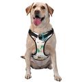 Coaee Travel1 Dog Harness&Pet Leash Harness Adjustable Dog Vest Harness For Training Hunting Walking Outdoor Walking- Small