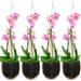 Orchid Planter Thai Bamboo Woven 4 Inch Hanging Orchid Basket with Bird Nest Style Plant Hangers for Trellis or Gazebo Indoor Outdoor Flower Planter (4 Packs)