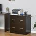 2-Drawer File Cabinet w/Lock and Keys,Vertical Storage Filing Cabinet