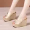 11cm Extreme High Heels Slippers Women Chunky Wedges Shoes for Wedding Office Model 2024 Summer