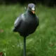 Pigeon Decoy Hunting Bait Shooting Trap Pest Control Garden Scarecrow 30cm for Home Garden Yard