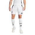 DFB Heimshorts Authentic 2024