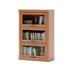 RARLON 47.24" H x 31.49" W Solid Wood Barrister Bookcase Wood in Brown | 47.24 H x 31.49 W x 12.4 D in | Wayfair 08LSQ38ZSSFRL80161X
