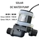 12V 24V DC Brushless Water Pump Silent 4 Points Threaded Solar Heater Shower Floor Heating Booster