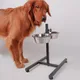 Pet Cat and Dog Bowl Floor-standing Lifting Rack Food and Water Adjustable Double Bowl