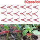 50pcs Durable Plastic Grafting Clamps Small Grafting Clips Round Red Clamps For Gardening Vegetables