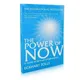 The Power of Now by Eckhart Tolle A Guide to Spiritual Enlightenment English book Youth inspiring