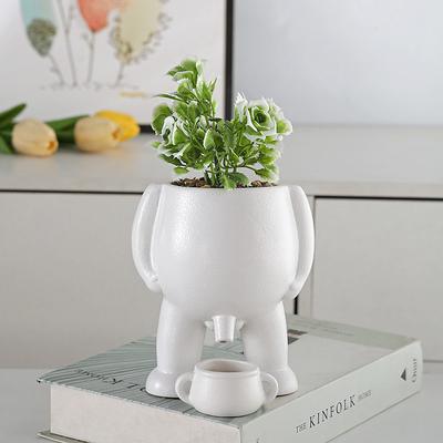 Peeing Funny Vase,Novelty Peeing Planter Pot,Piss Pot Planter,Succulent Pots Planters with Drainage,Penis Planter Funny Body Planter,Plants Vase for Succulents and Cacti,Greenery Pot