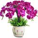 SmPinnaA Artificial Flowers for Decoration Artificial Flowers Arrangement Wedding Bouquet Artificial Flower Phalaenopsis Fake Flower Potted Decoration Artificial Plant Artificial Flowers Plants