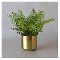 SmPinnaA Artificial Plants Indoor Mini Artificial Potted Plants Faux Fern Plants Greenery in Golden Pots Small Houseplants for Home Decor Office Desk Shower Room Decoration Simulation Plant Potted